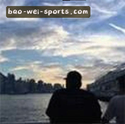 刘总